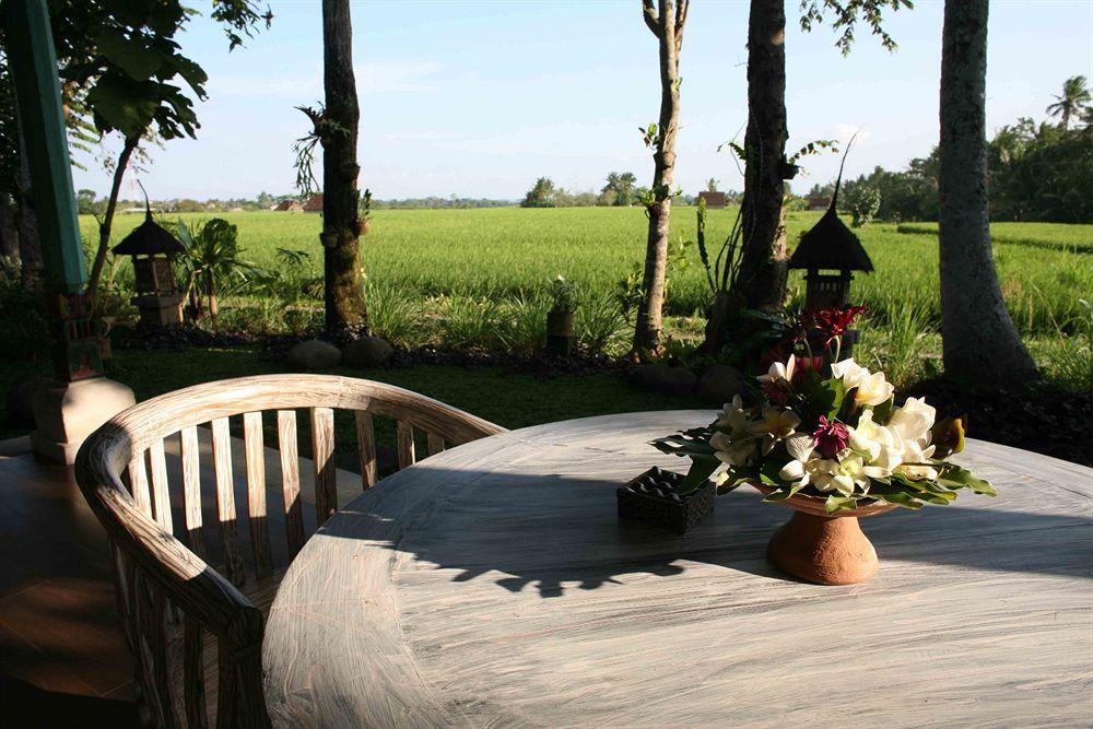 Umasari Rice Terrace Villa Selemadeg Exterior foto
